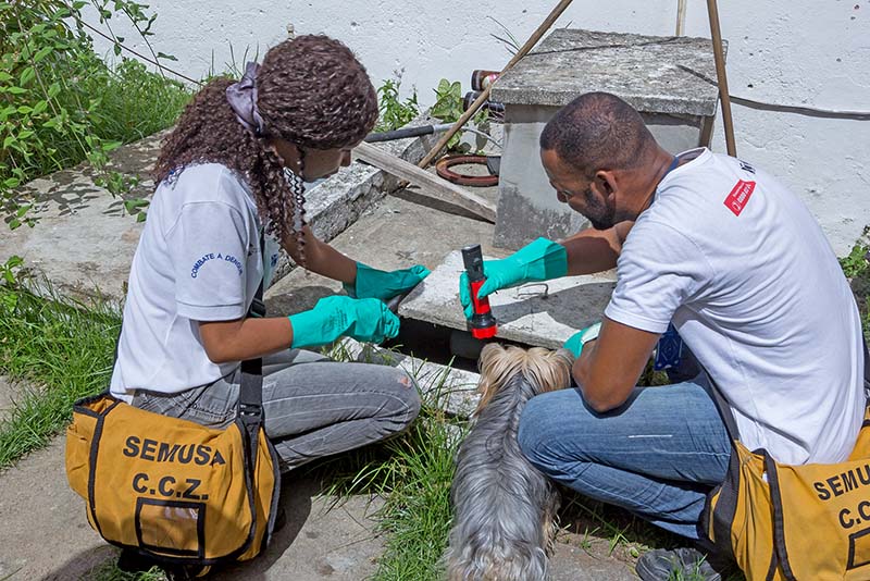 Agentes de endemias fiscalizando residência