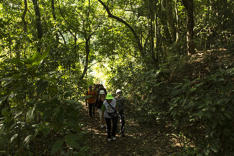 Pessoas caminhando na trilha no meio da mata