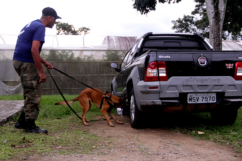 Foto de homem segurando a coleira de um cachorro que está cheirando um carro