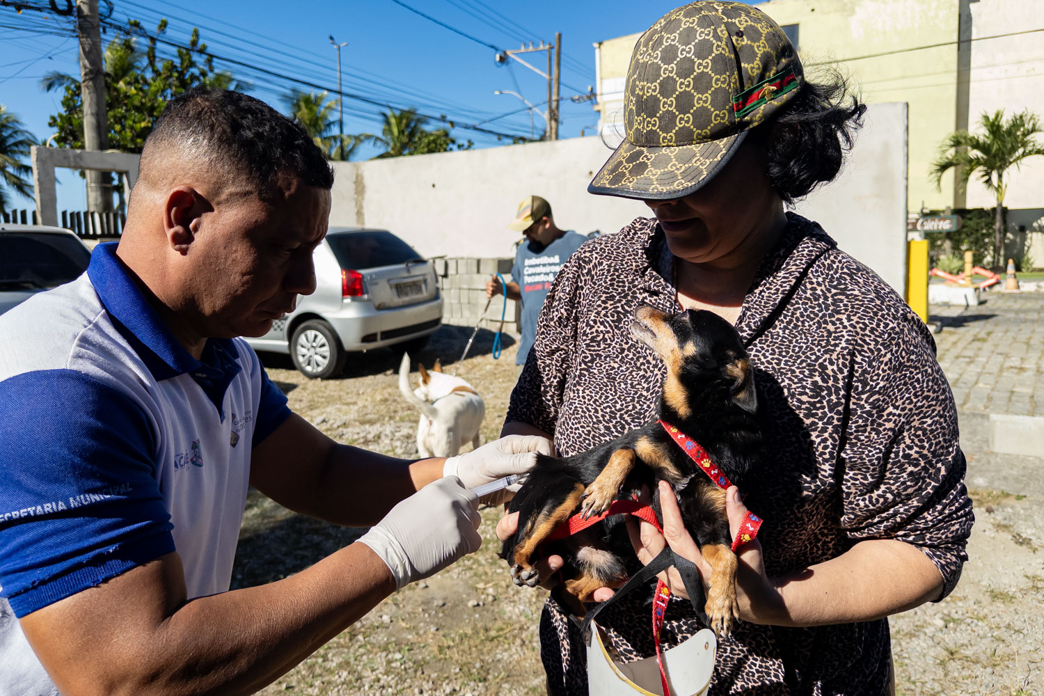 Vacinação antirrábica atende na Virgem Santa nesta quinta e sexta Vacinação antirrábica atende na Virgem Santa nesta quinta e sexta
