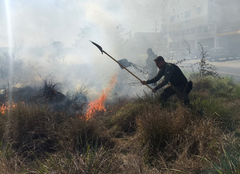 Guarda Ambiental combate incêndio na Linha Azul na manhã desta segunda-feira Guarda Ambiental combate incêndio na Linha Azul na manhã desta segunda-feira