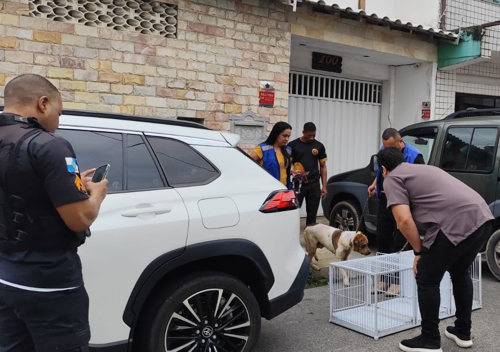 Operação Patas Seguras resgata animais e leva suspeito de maus-tratos à prisão em flagrante