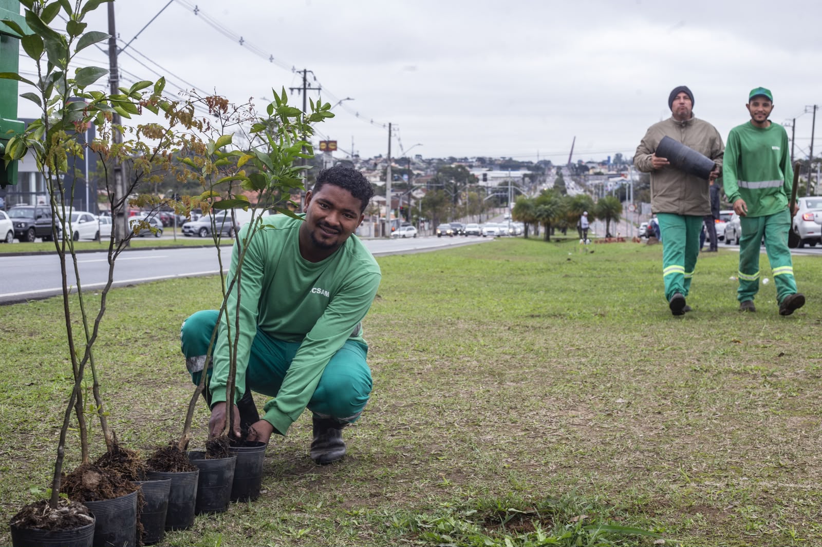Macaé supera 3,6 mil árvores plantadas em 2026 e avança na arborização