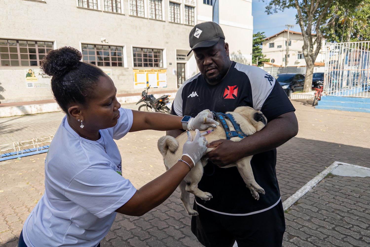 Vacinação antirrábica segue em diversos bairros esta semana