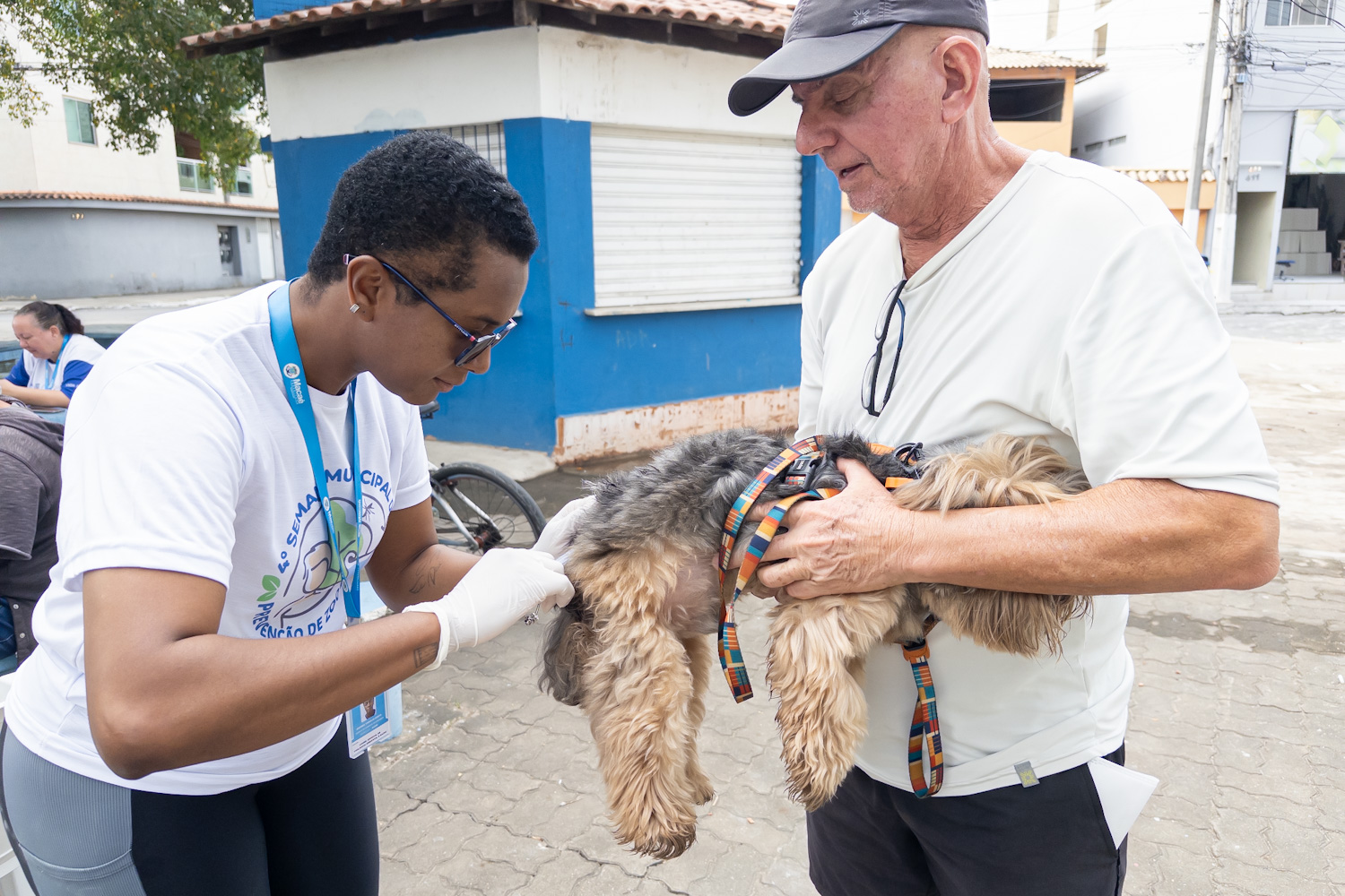 Saúde: vacinação antirrábica para cães e gatos segue nos bairros