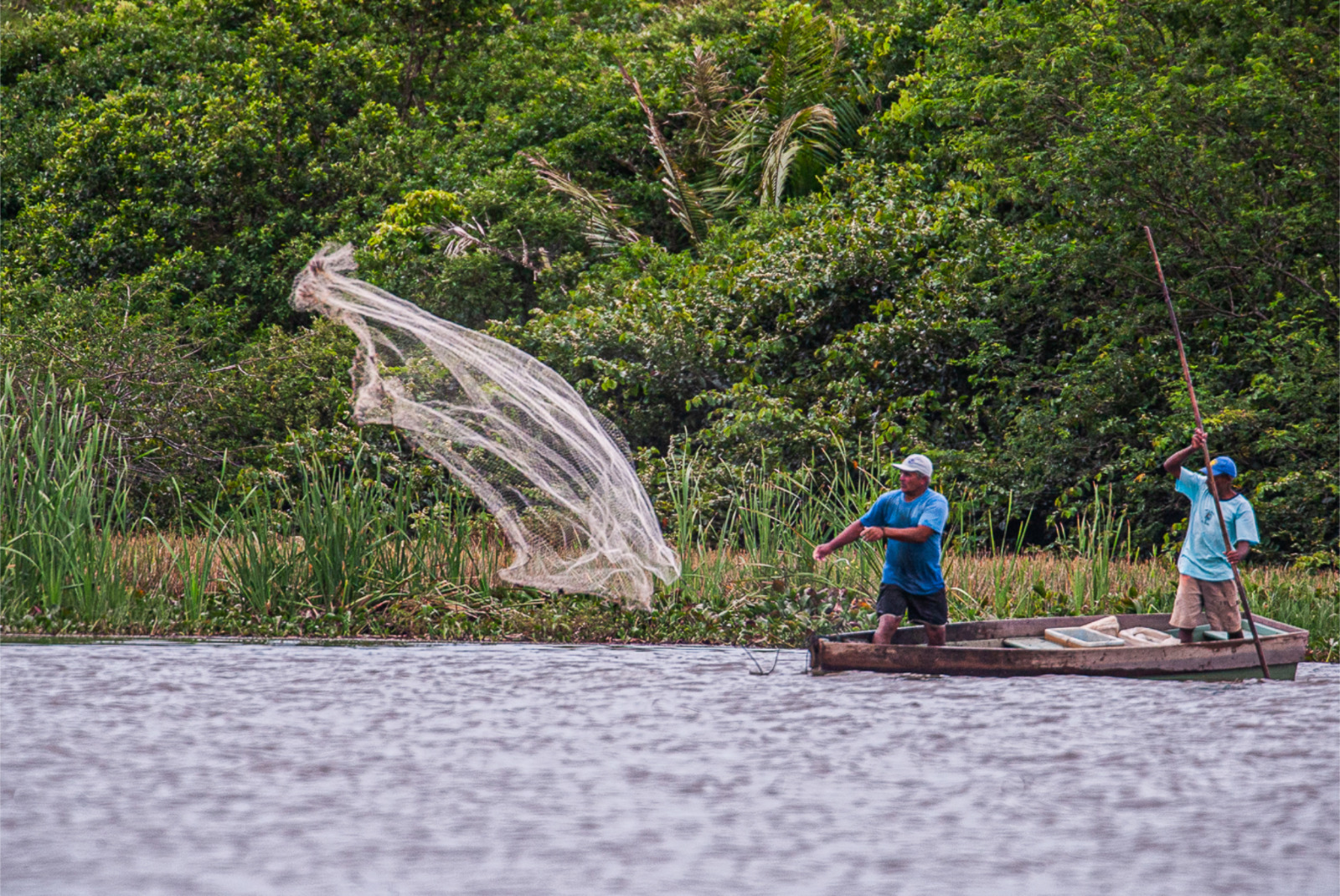 Cadastramento para o Defeso do Camarão de Macaé começa dia 10