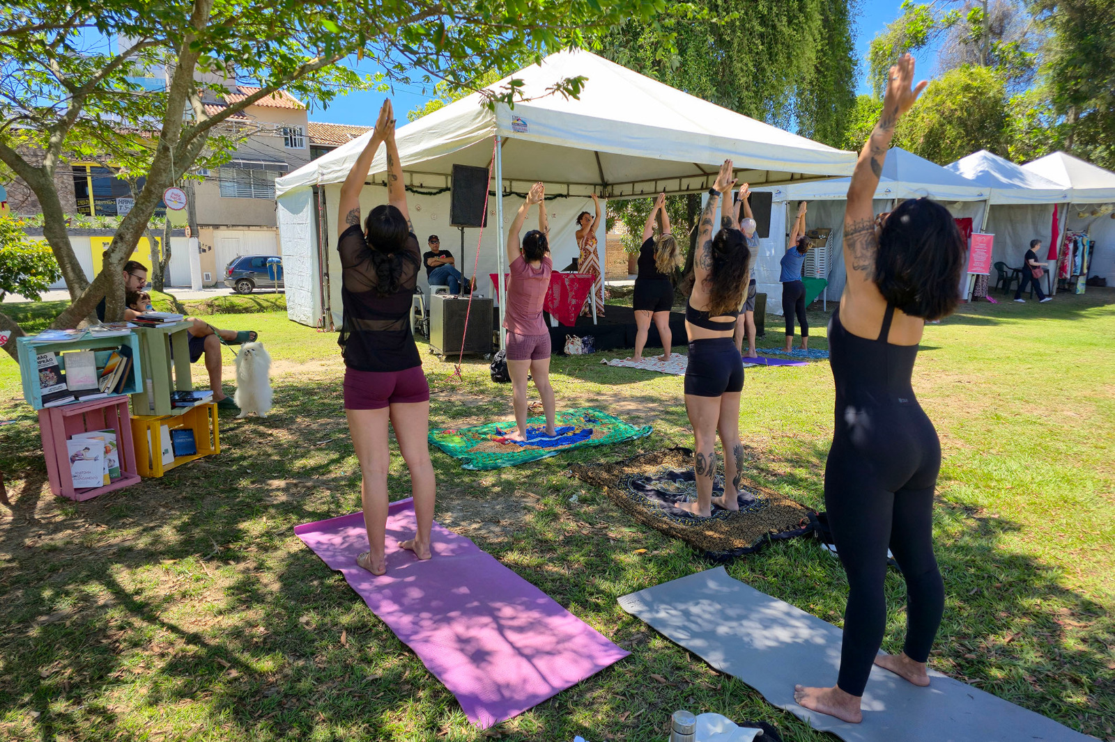 Feira Cultural Natalina movimenta Parquinho da Lagoa