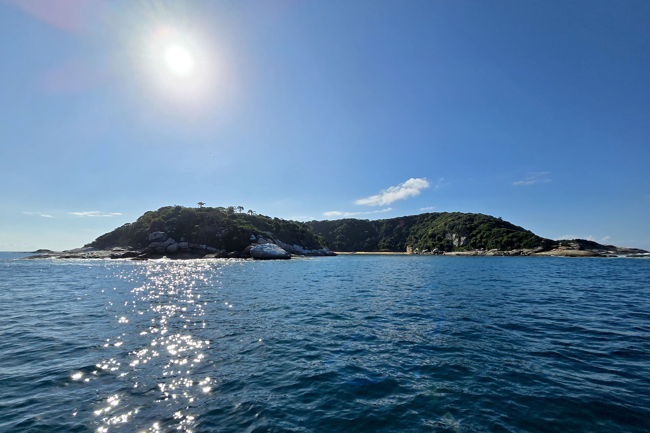 Prefeitura de Macaé mantém apoio às buscas por elefante-marinho