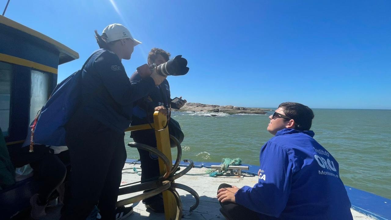 Elefante-marinho Juruba está bem e monitorado após ação conjunta