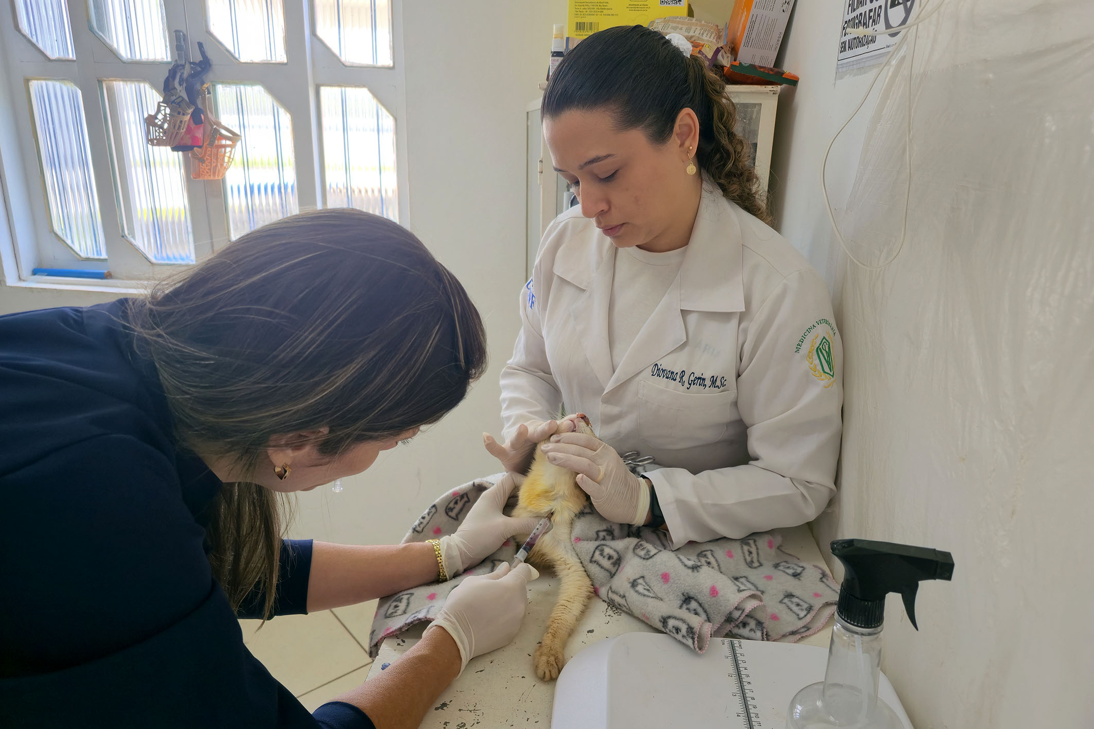 Dia D da Esporotricose movimentou sábado na UBS Animal