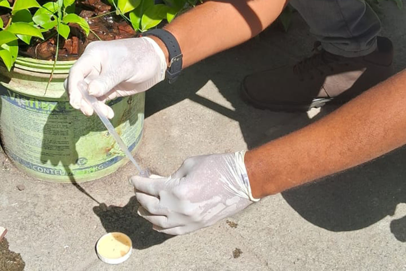 Prefeitura realiza Dia D de combate ao Aedes aegypti antes do Carnaval