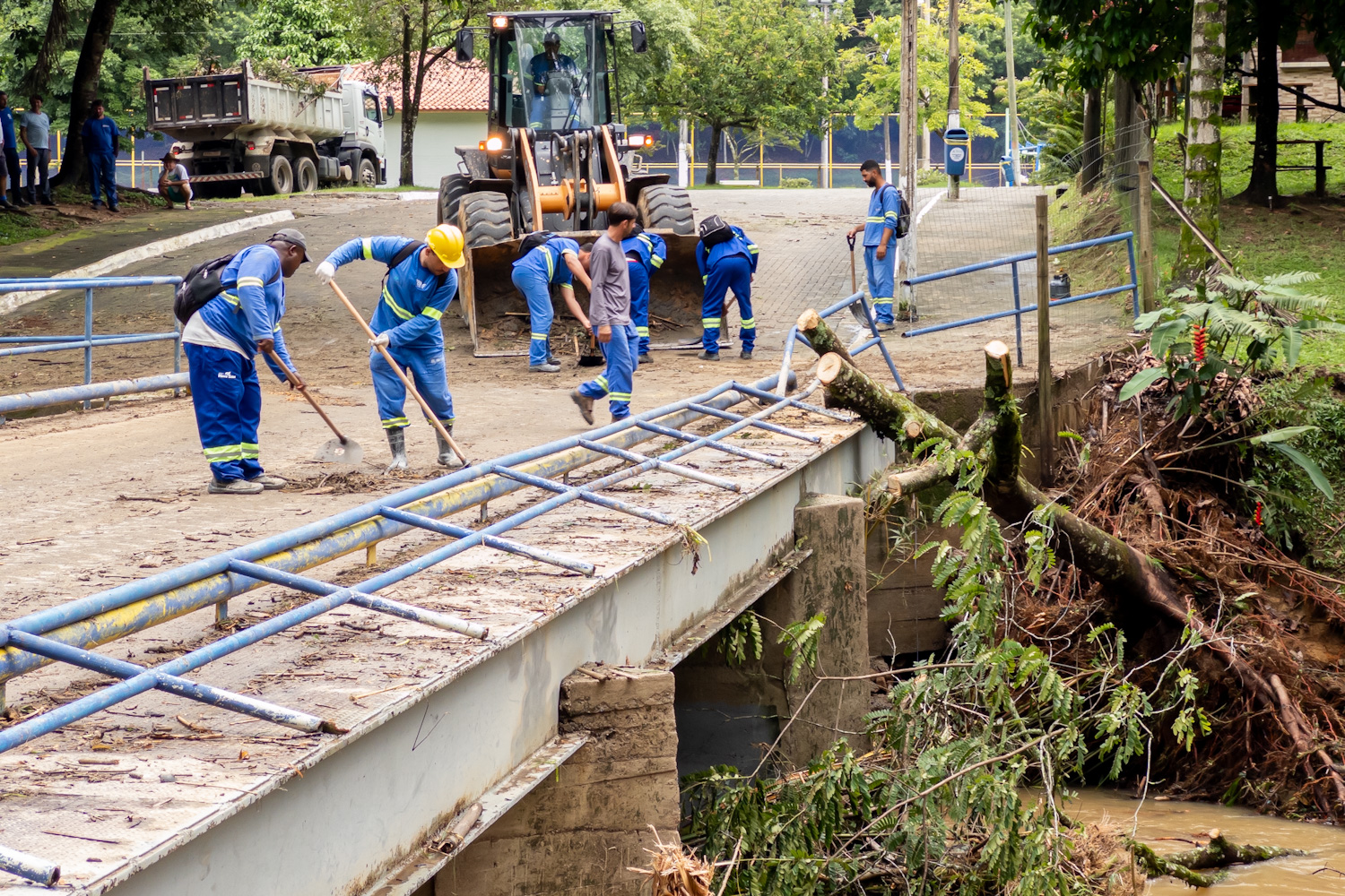 Panorama atual de ações na região serrana - 26/02/2026