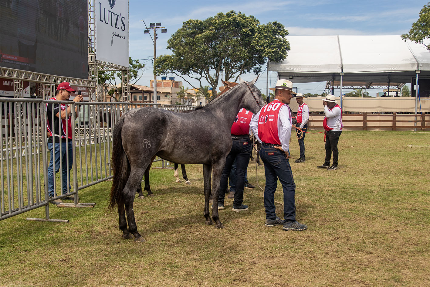 Expo Brasileira do Criador de Mangalarga Marchador é sucesso em Macaé