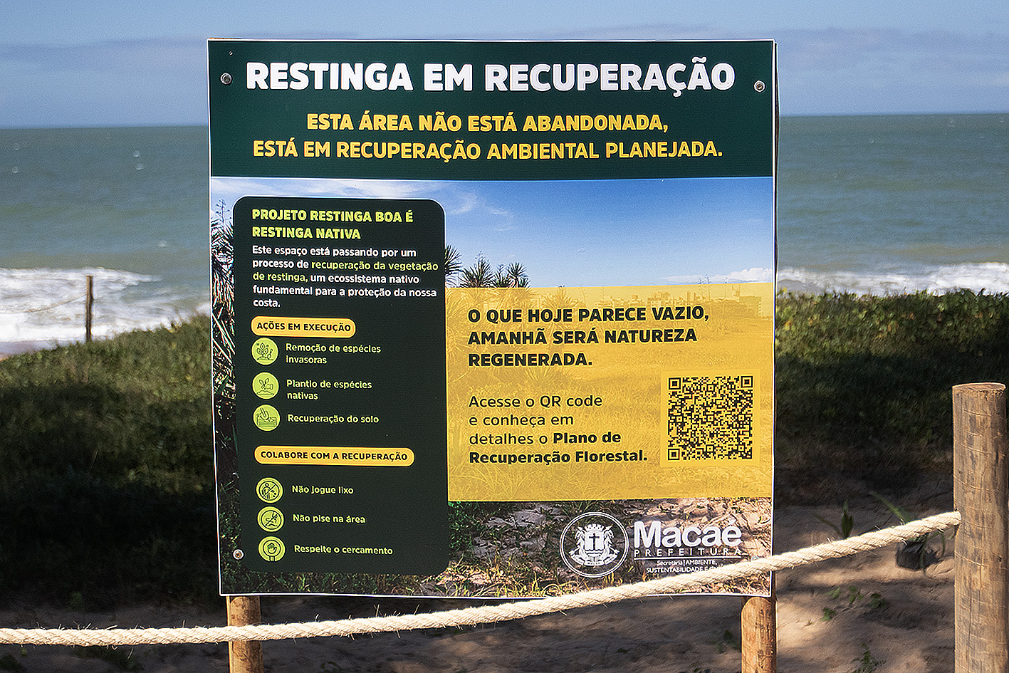 Plantio de espécies nativas de restinga começa na Praia do Pecado